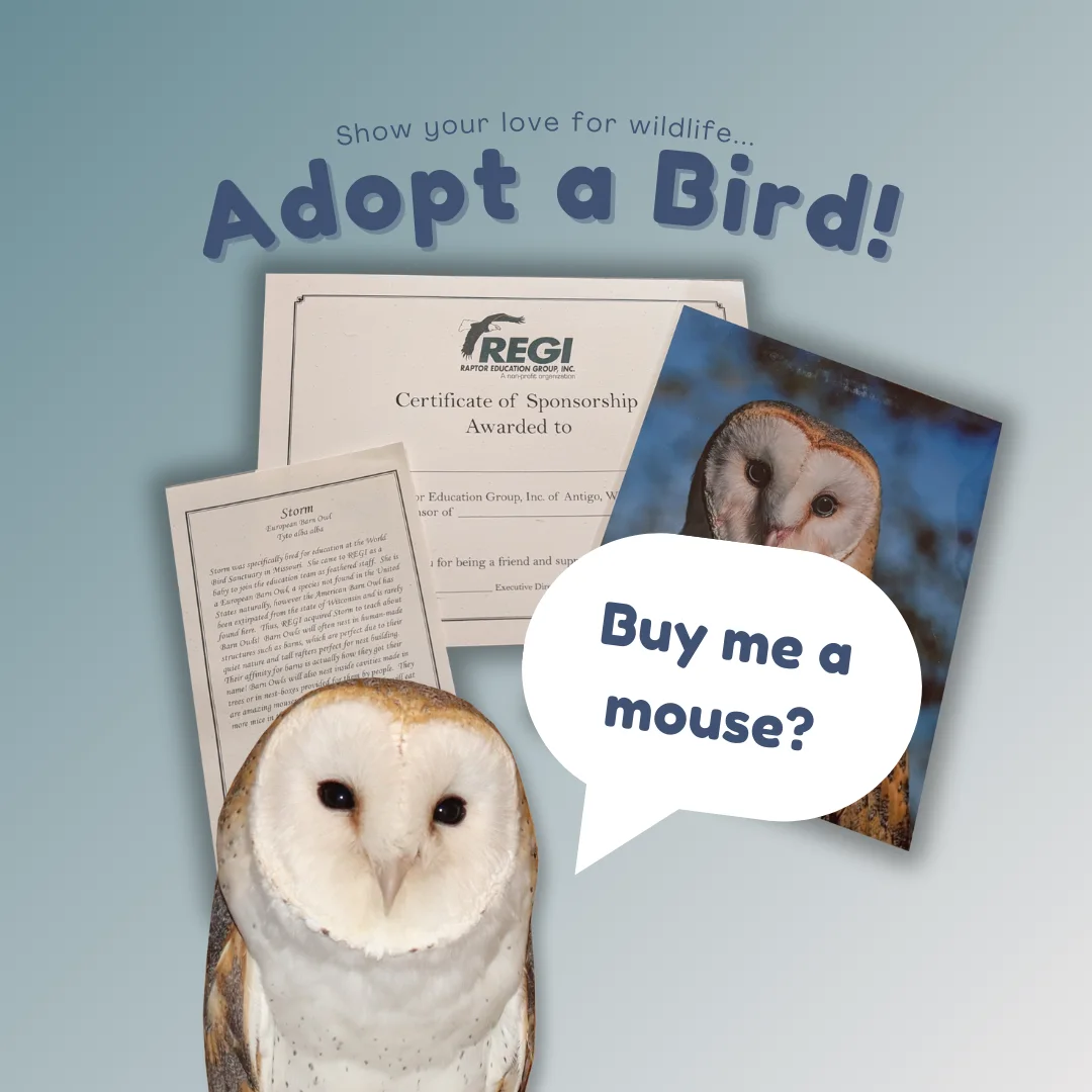 REGI symbolic adoption certificate, bird photo, and biography