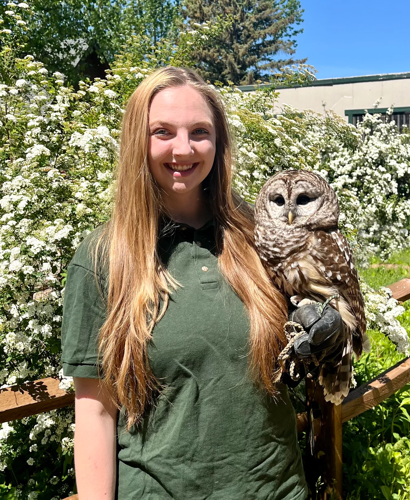 Samantha Brooks holding a barred owl